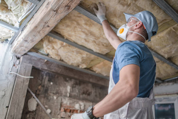 Best Cellulose Insulation in Biltmore Forest, NC